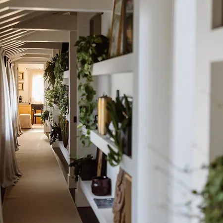 Casa Toma - Luxury Garden House